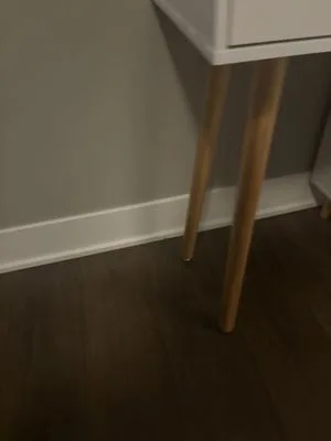 Wild Safari Moving LLC