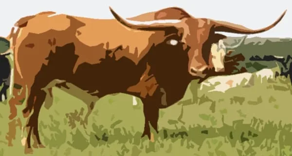Big Oxen Company photo 3