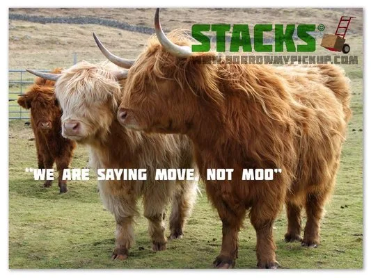 Stacks Limited photo 5